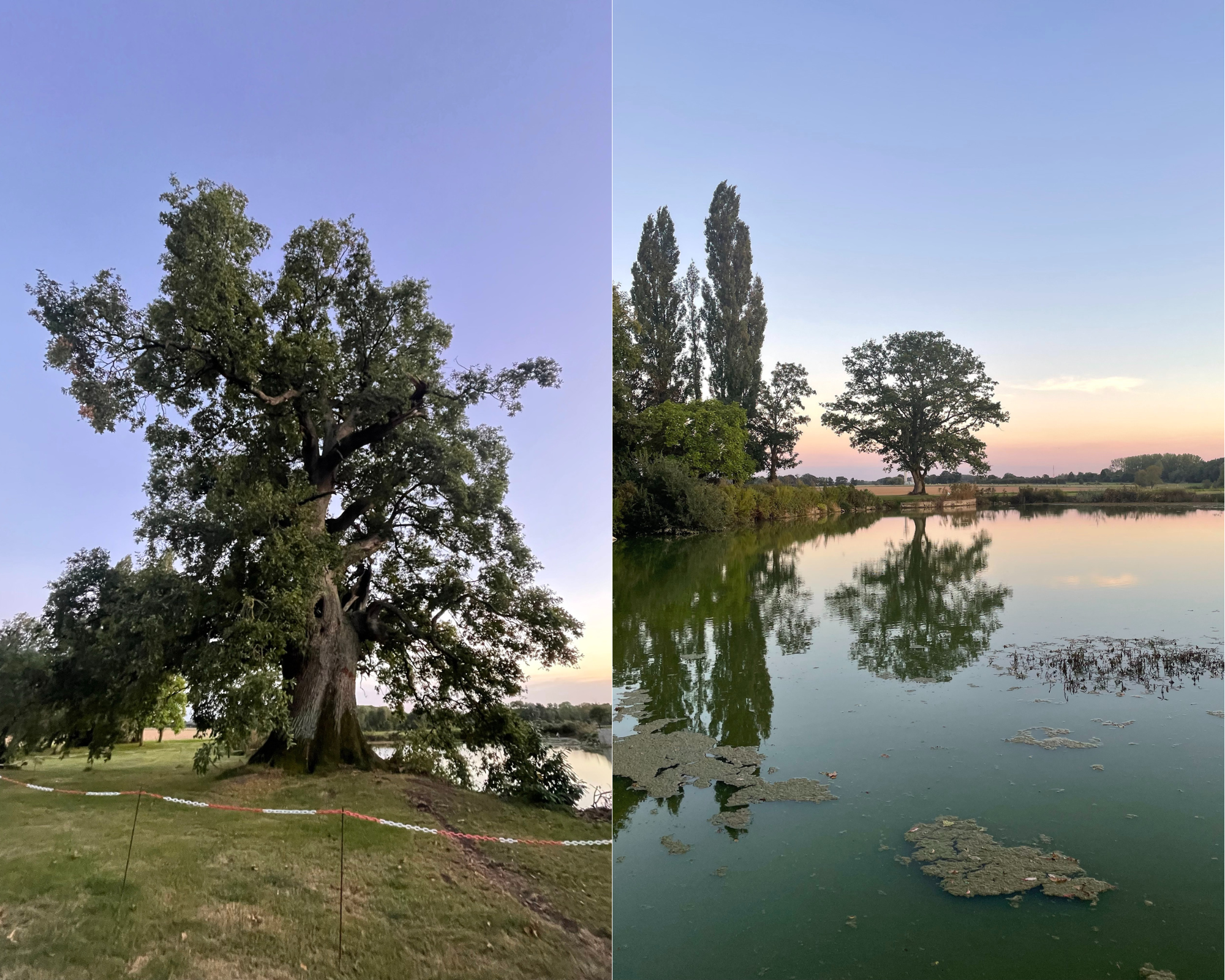 Arbre et lac à notre arrivée au Gîte de Beuvardes.